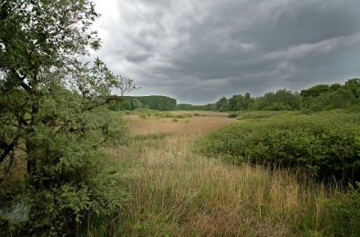 Specijalni rezervat prirode „Gornje Podunavlje“ Vojvodinasume