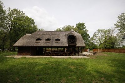 Specijalni rezervat prirode „Gornje Podunavlje“ Vojvodinasume